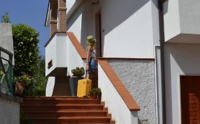 B&B La Terrazza Sul Parco
